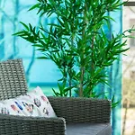 Whiteblue I Seaside Ul Konopnickiej Sauna & Fitness & Bawialnia Dla Dzieci & Rowerownia - W Cenie Pobytu * Kołobrzeg